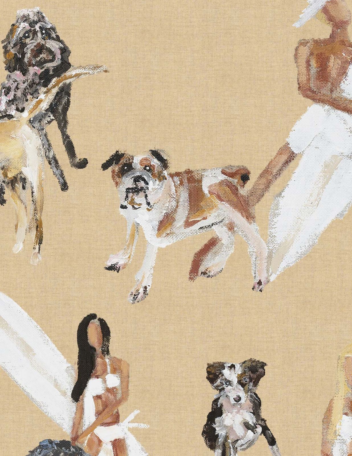 Dog Days Wallpaper